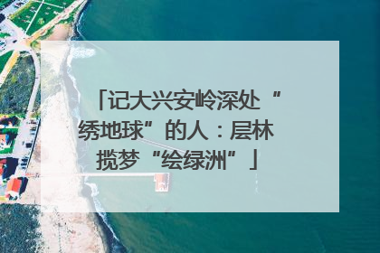 记大兴安岭深处“绣地球”的人：层林揽梦“绘绿洲”