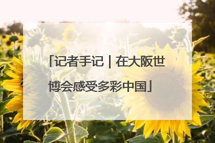 记者手记｜在大阪世博会感受多彩中国