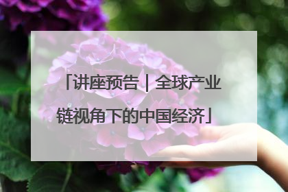 讲座预告｜全球产业链视角下的中国经济