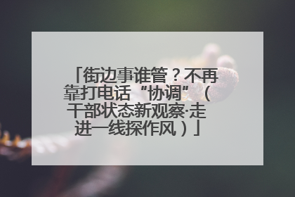街边事谁管？不再靠打电话“协调”（干部状态新观察·走进一线探作风）