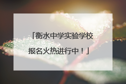 衡水中学实验学校报名火热进行中！