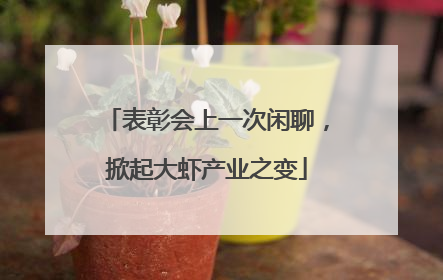 表彰会上一次闲聊，掀起大虾产业之变