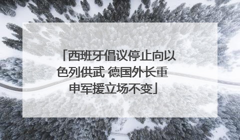 西班牙倡议停止向以色列供武 德国外长重申军援立场不变