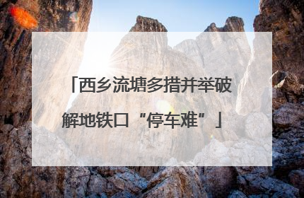 西乡流塘多措并举破解地铁口“停车难”