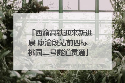 西渝高铁迎来新进展 康渝段站前四标桃园二号隧道贯通