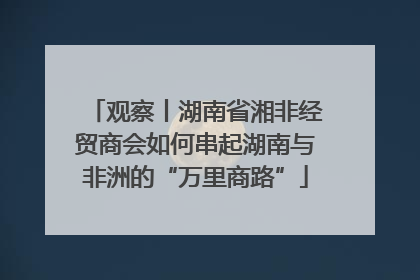 观察丨湖南省湘非经贸商会如何串起湖南与非洲的“万里商路”