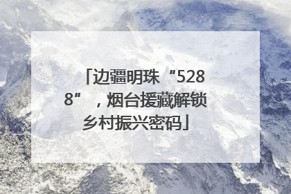 边疆明珠“5288”，烟台援藏解锁乡村振兴密码