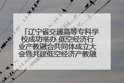 辽宁省交通高等专科学校成功举办 低空经济行业产教融合共同体成立大会暨共建低空经济产教融合新生态论坛
