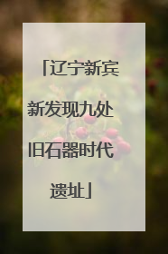 辽宁新宾新发现九处旧石器时代遗址