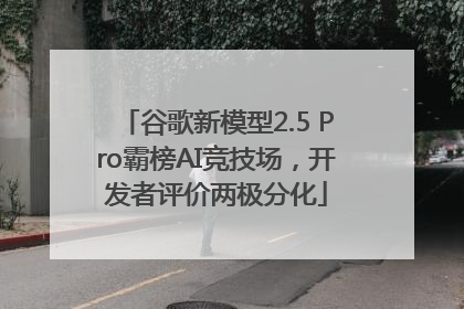 谷歌新模型2.5 Pro霸榜AI竞技场，开发者评价两极分化