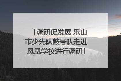 调研促发展 乐山市少先队鼓号队走进凤凰学校进行调研