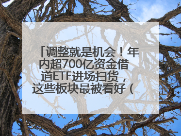 调整就是机会！年内超700亿资金借道ETF进场扫货，这些板块最被看好（附名单）