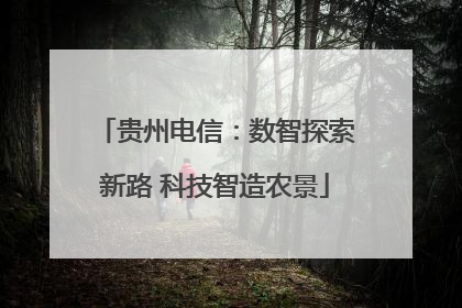 贵州电信：数智探索新路 科技智造农景