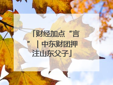 财经加点“言”｜中东财团押注山东父子