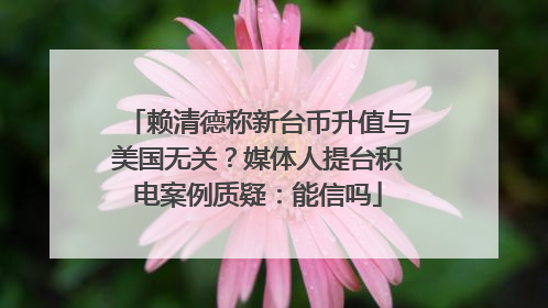 赖清德称新台币升值与美国无关？媒体人提台积电案例质疑：能信吗