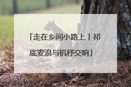 走在乡间小路上丨祁底麦浪与机杼交响