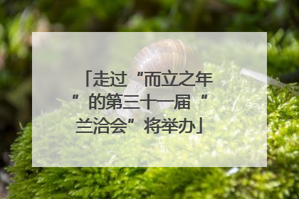 走过“而立之年”的第三十一届“兰洽会”将举办