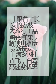 跟着“长安的荔枝”去旅行！品岭南鲜果，解锁山水康养新玩法，上海3小时直飞，自驾高速费优惠