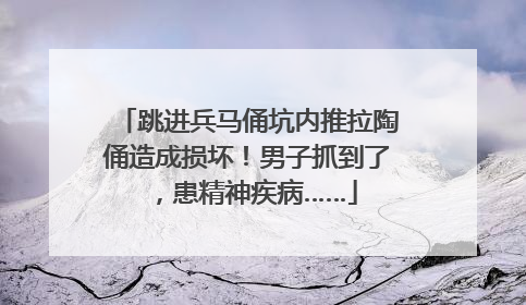 跳进兵马俑坑内推拉陶俑造成损坏！男子抓到了，患精神疾病……
