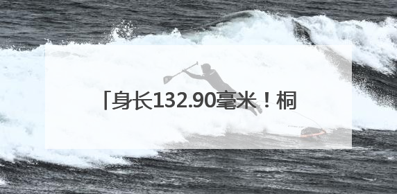 身长132.90毫米！桐乡养出“巨无霸”小龙虾