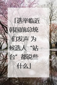 选举临近韩国前总统们发声 为候选人“站台”都说些什么
