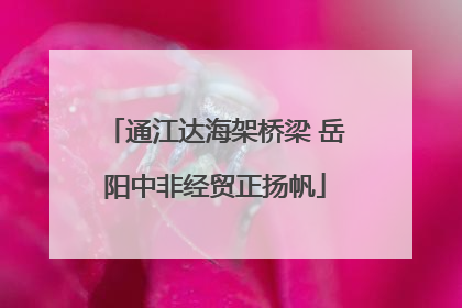 通江达海架桥梁 岳阳中非经贸正扬帆