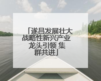 遂昌发展壮大战略性新兴产业 龙头引领 集群共进