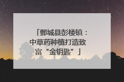 鄄城县彭楼镇：中草药种植打造致富“金钥匙”