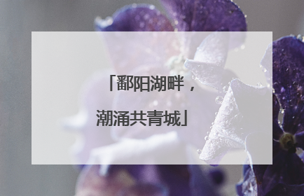 鄱阳湖畔，潮涌共青城