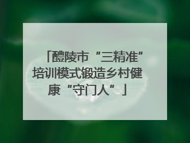醴陵市“三精准”培训模式锻造乡村健康“守门人”