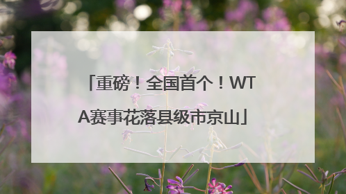 重磅！全国首个！WTA赛事花落县级市京山