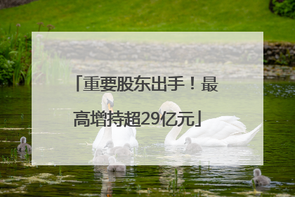 重要股东出手！最高增持超29亿元