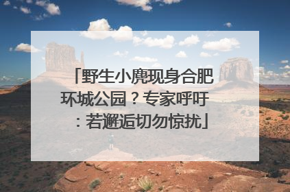 野生小麂现身合肥环城公园？专家呼吁：若邂逅切勿惊扰