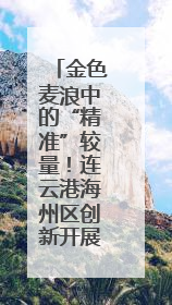 金色麦浪中的“精准”较量！连云港海州区创新开展机收减损技能竞赛
