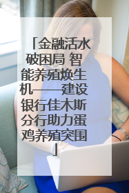 金融活水破困局 智能养殖焕生机——建设银行佳木斯分行助力蛋鸡养殖突围