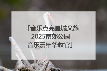 音乐点亮星城文旅 2025南郊公园音乐嘉年华收官