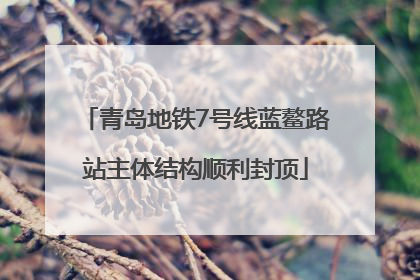 青岛地铁7号线蓝鳌路站主体结构顺利封顶