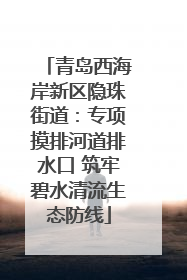 青岛西海岸新区隐珠街道：专项摸排河道排水口 筑牢碧水清流生态防线