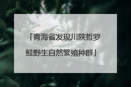 青海省发现川陕哲罗鲑野生自然繁殖种群