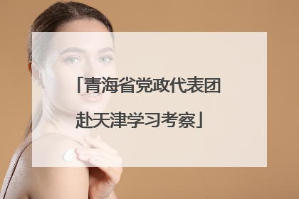 青海省党政代表团赴天津学习考察