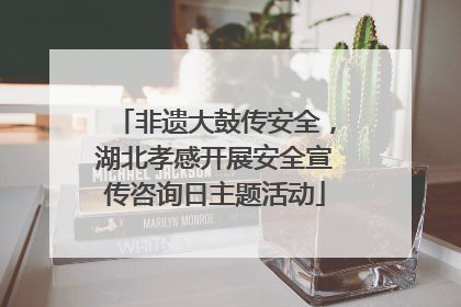 非遗大鼓传安全，湖北孝感开展安全宣传咨询日主题活动