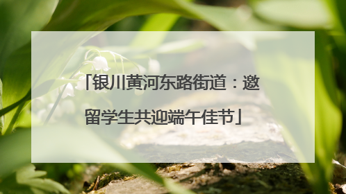 银川黄河东路街道：邀留学生共迎端午佳节