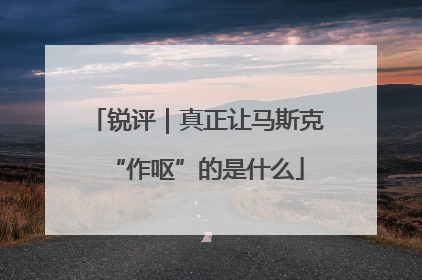 锐评｜真正让马斯克“作呕”的是什么
