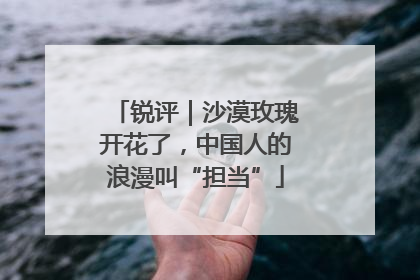 锐评｜沙漠玫瑰开花了，中国人的浪漫叫“担当”