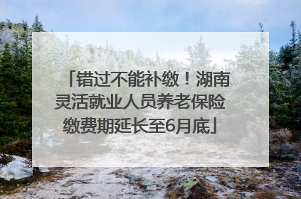 错过不能补缴！湖南灵活就业人员养老保险缴费期延长至6月底