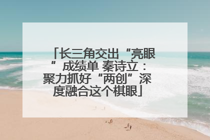 长三角交出“亮眼”成绩单 秦诗立：聚力抓好“两创”深度融合这个棋眼