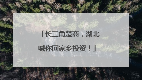 长三角楚商，湖北喊你回家乡投资！