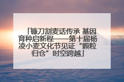 镰刀割麦话传承 基因育种启新程——第十届杨凌小麦文化节见证“颗粒归仓”时空跨越