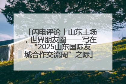 闪电评论丨山东主场，世界朋友圈——写在“2025山东国际友城合作交流周”之际