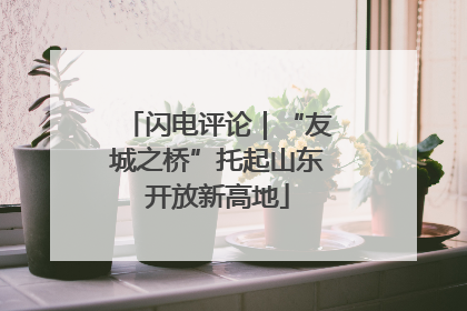 闪电评论｜“友城之桥”托起山东开放新高地
